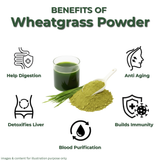 Trisoon Wellness Organic Wheatgrass Powder 200 gm Superfood | Wheat Grass Juice | Antioxidant, Detox your body | Improve Immunity and Energy