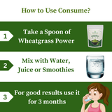 Trisoon Wellness Organic Wheatgrass Powder 200 gm Superfood | Wheat Grass Juice | Antioxidant, Detox your body | Improve Immunity and Energy