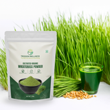 Trisoon Wellness Organic Wheatgrass Powder 200 gm Superfood | Wheat Grass Juice | Antioxidant, Detox your body | Improve Immunity and Energy