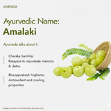 Trisoon Wellness Amla Powder Natural Vitamin C Superfood for Immunity & Vitality | Amla Fruit Powder | Promotes Hair & Skin (200gm, amla powder)