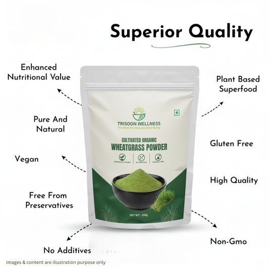 Trisoon Wellness Organic Wheatgrass Powder 200 gm Superfood | Wheat Grass Juice | Antioxidant, Detox your body | Improve Immunity and Energy