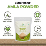 Trisoon Wellness Amla Powder Natural Vitamin C Superfood for Immunity & Vitality | Amla Fruit Powder | Promotes Hair & Skin (200gm, amla powder)